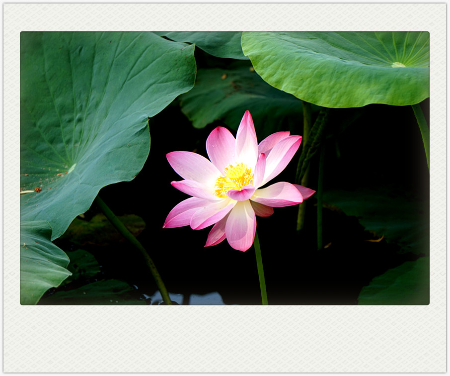dsc01799_副本.jpg