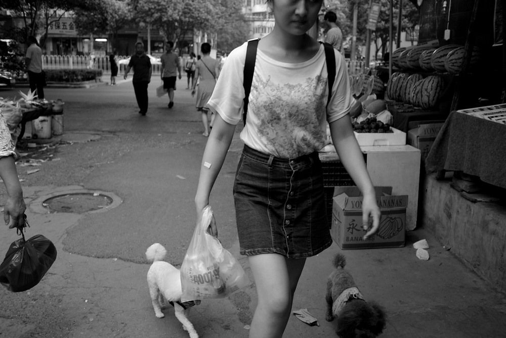 L1048853.jpg