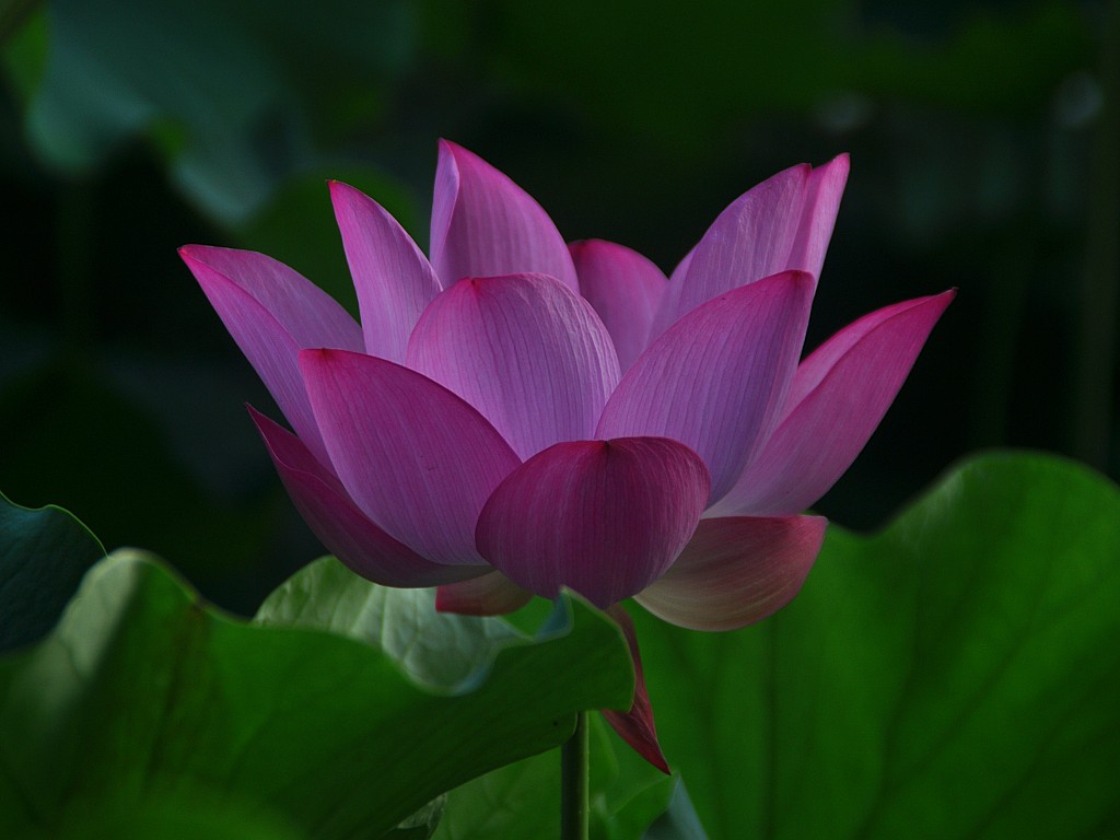 DSC_0040_conew1.jpg