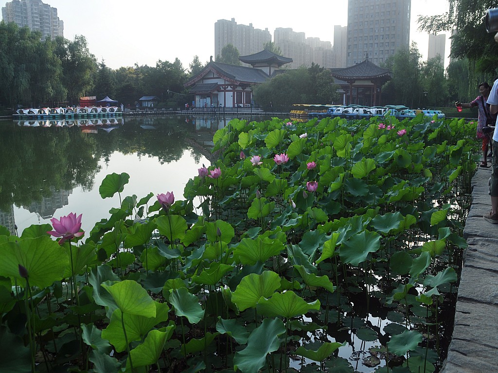 DSC_0045_conew1.jpg