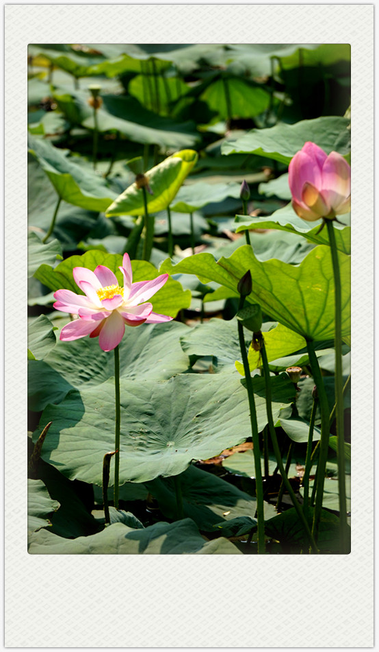 dsc01777_副本.jpg