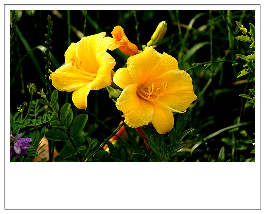 DSC01608_副本.jpg