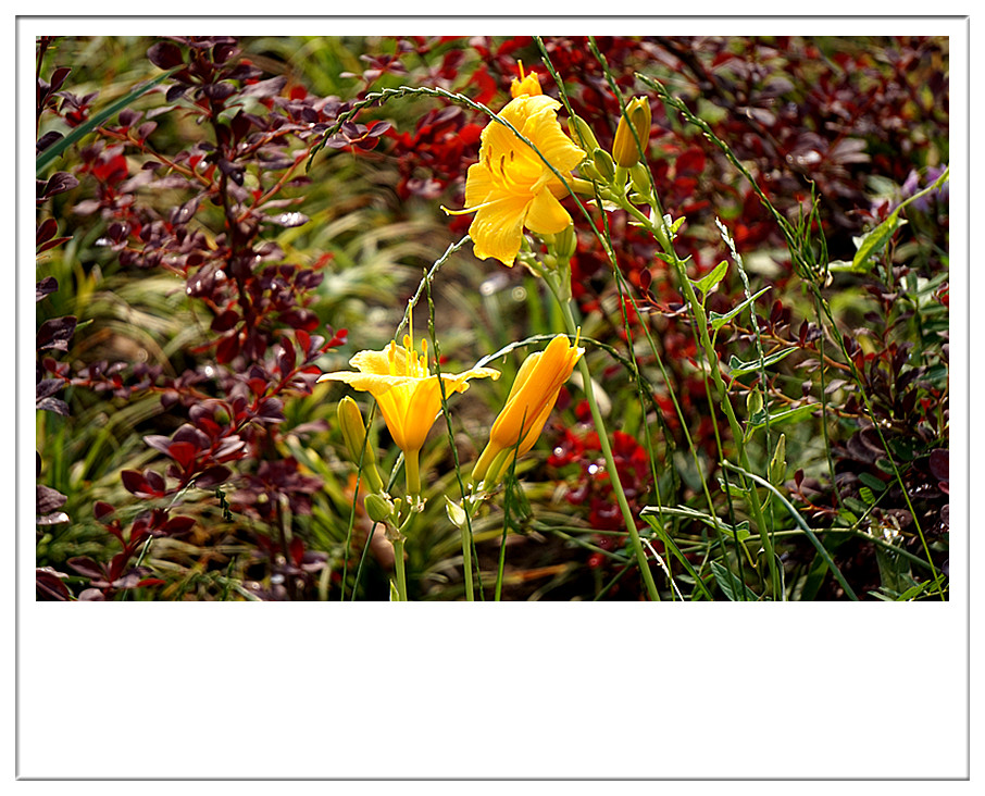 DSC01587_副本.jpg