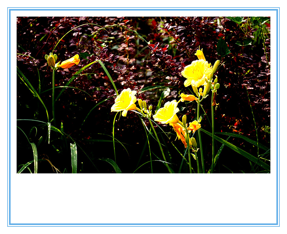 DSC01594_副本.jpg