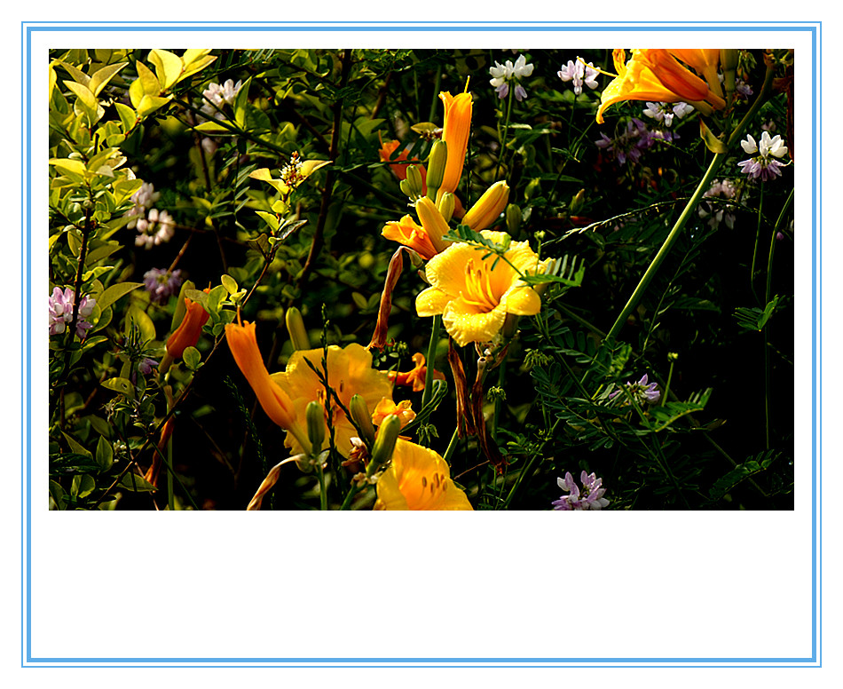 DSC01606_副本.jpg