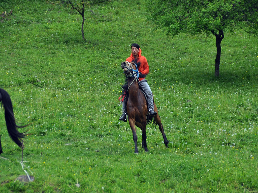 DSC_0270_conew1.jpg
