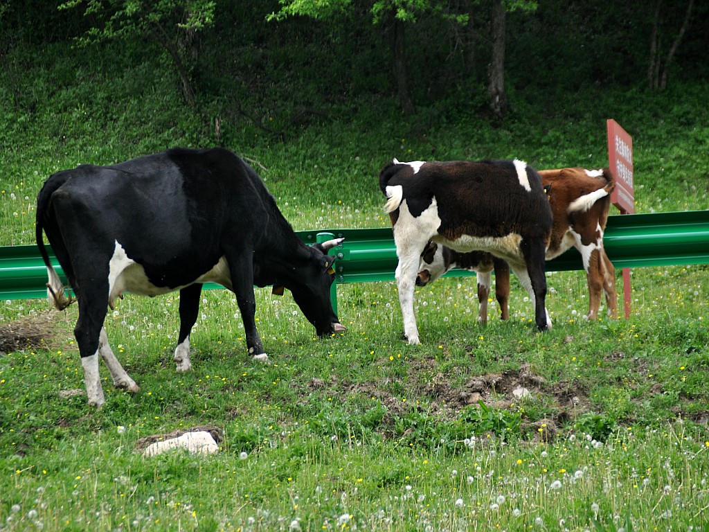 DSC_0278_conew1.jpg