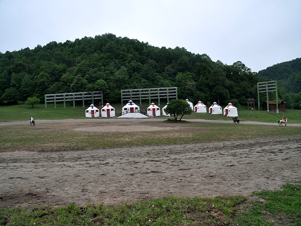 DSC_0295_conew1.jpg