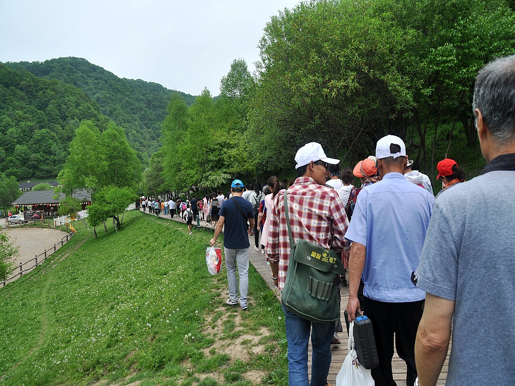 DSC_0454_conew1.jpg
