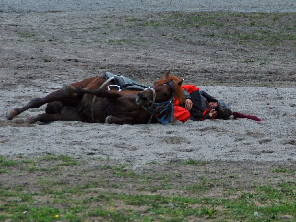 DSC_0400_conew1.jpg