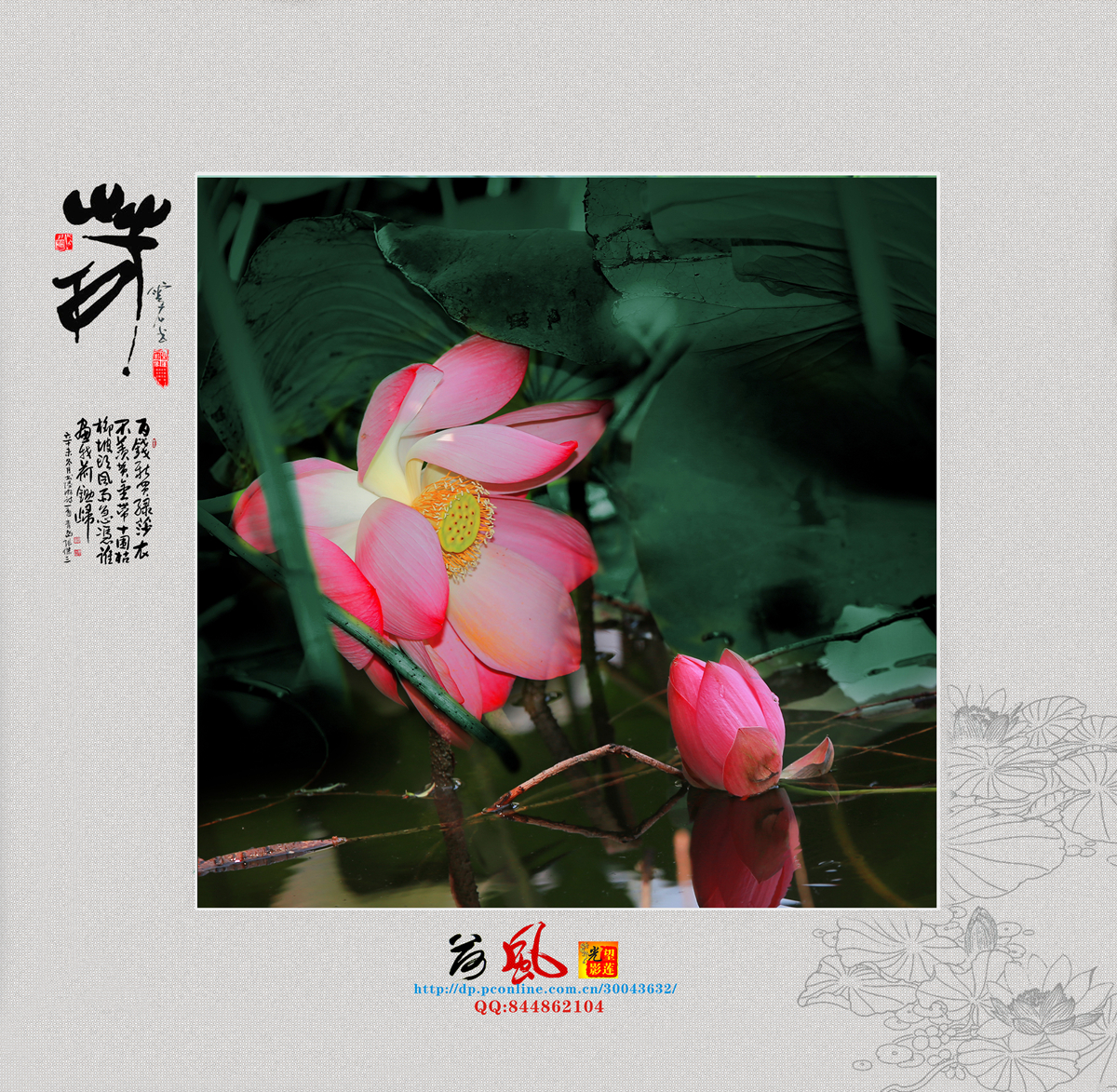 荷13.jpg