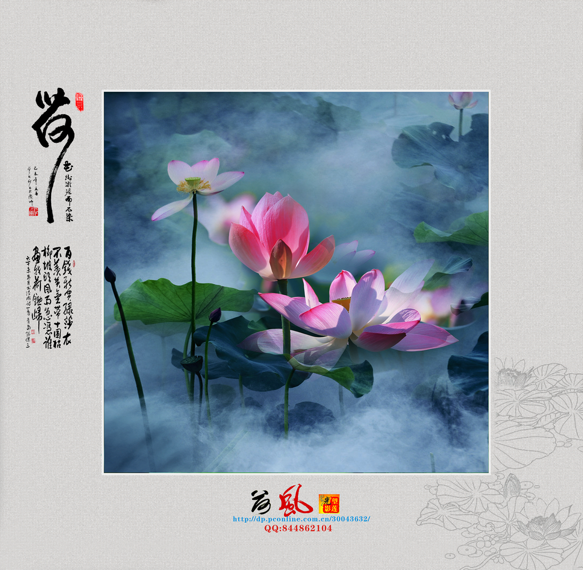 荷16.jpg