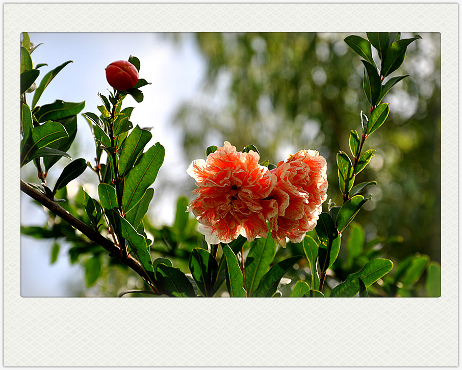 dsc_0249_副本.jpg