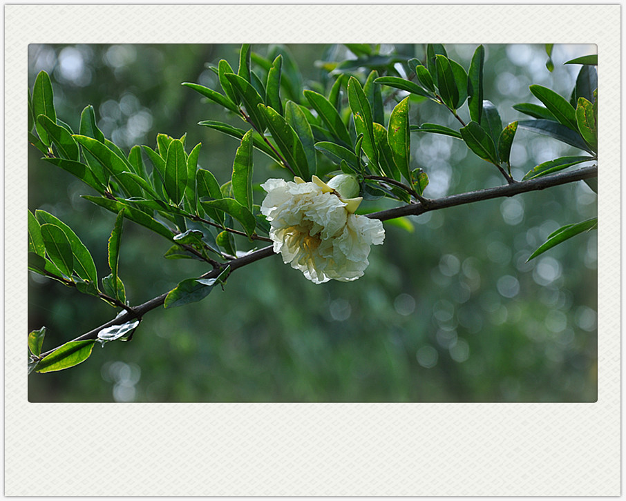 dsc_0269_副本.jpg