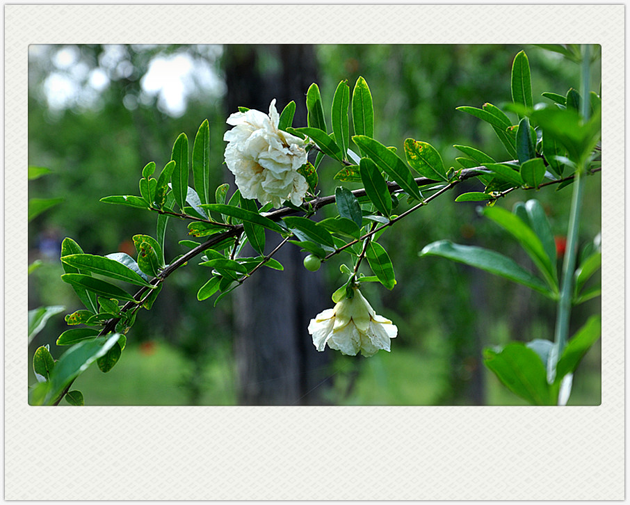 dsc_0270_副本.jpg