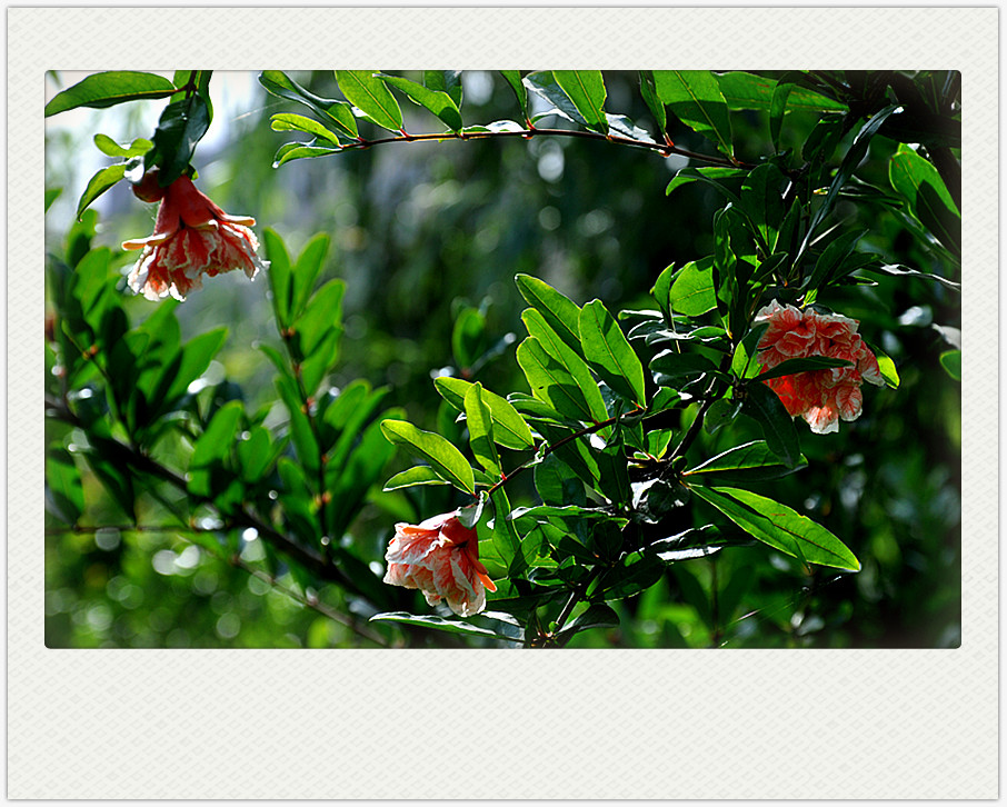 dsc_0281_副本.jpg