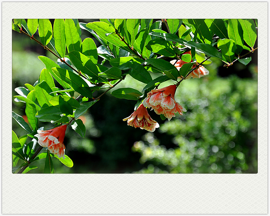 dsc_0284_副本.jpg