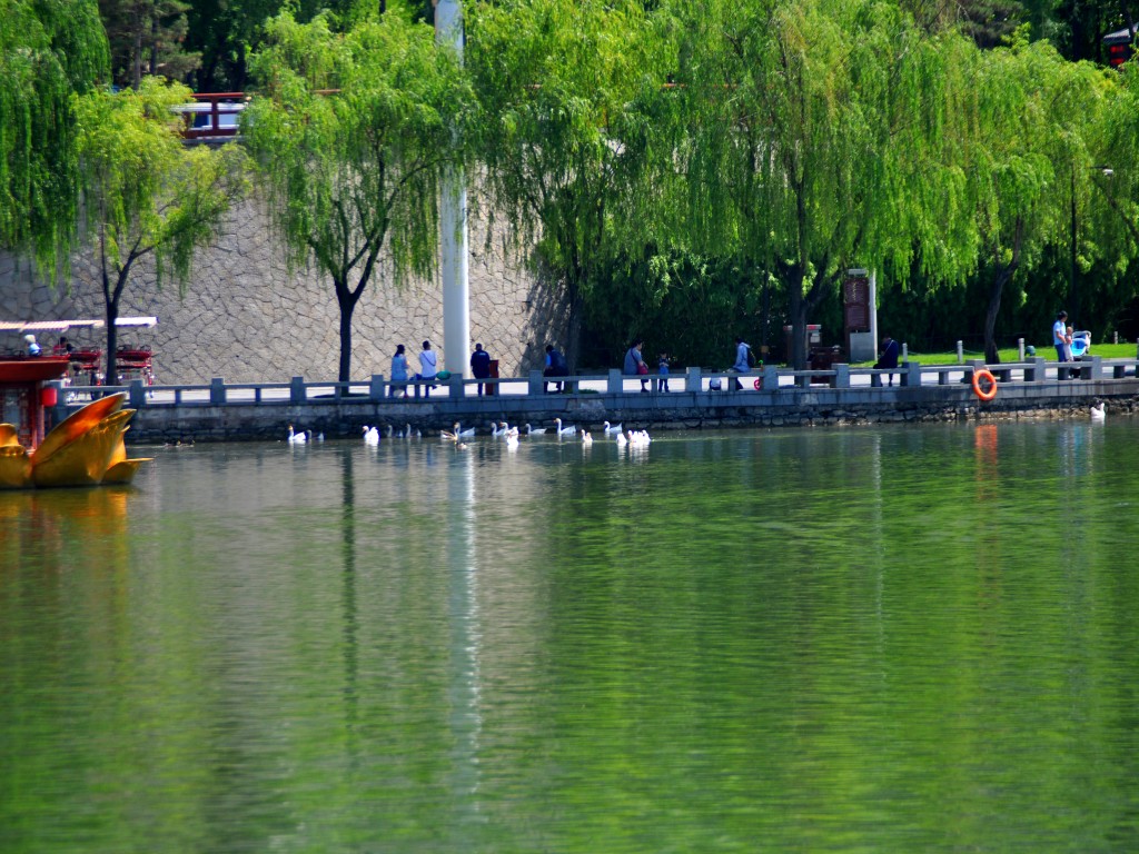 DSC_0133_conew1.jpg