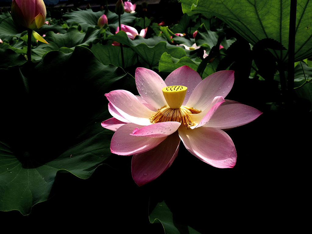 IMG_20170706_154549副本.jpg