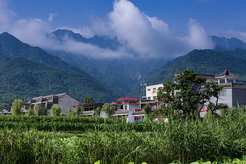 IMG_5841-1_副本_副本.jpg