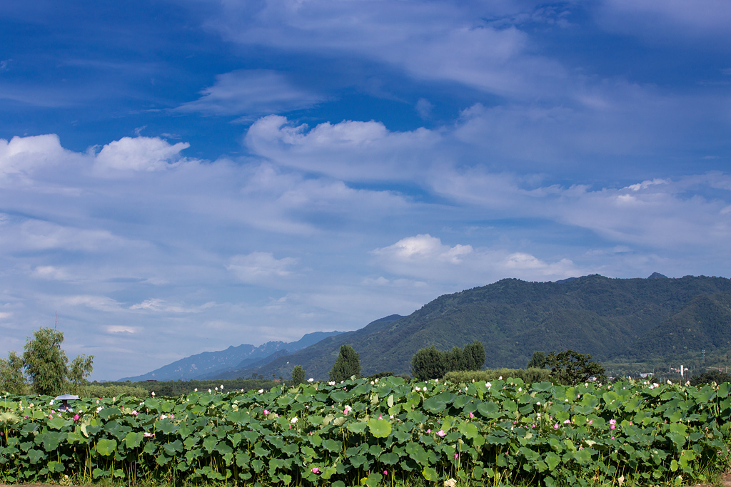 IMG_7218-1_副本_副本.jpg