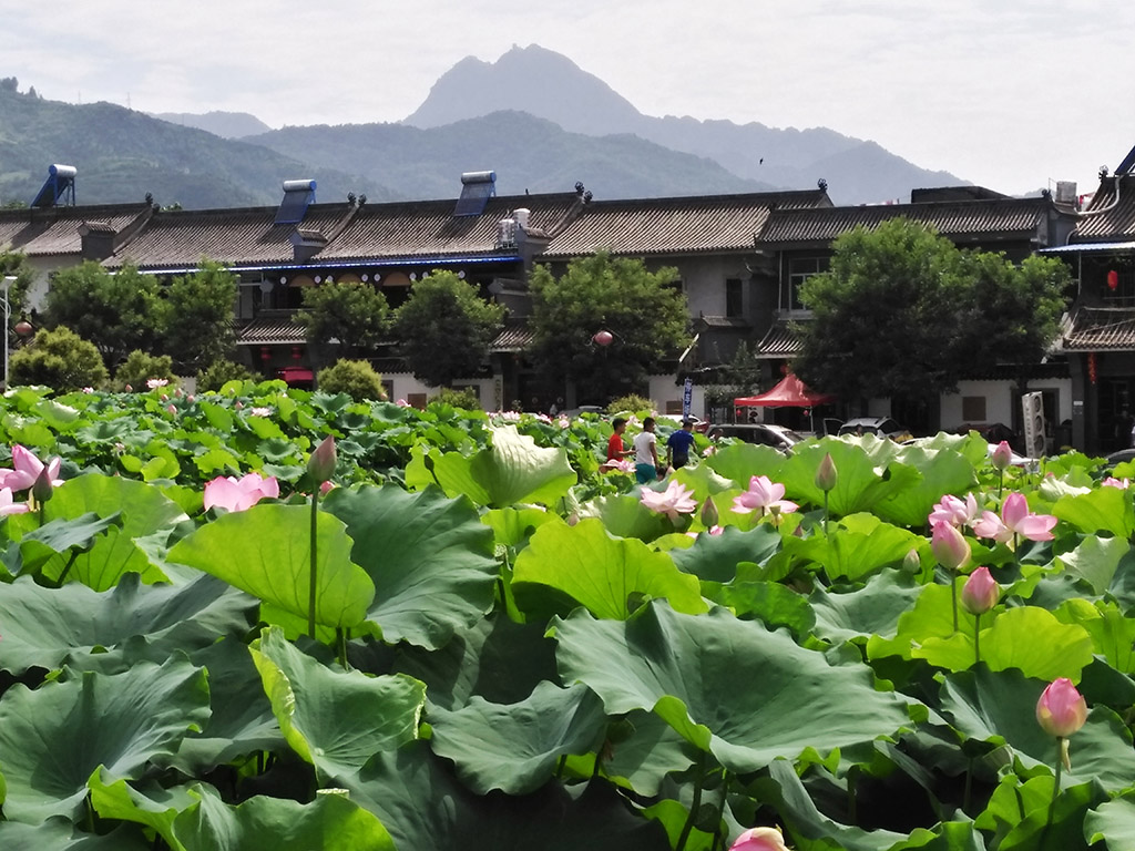 IMG_20170706_154820副本.jpg