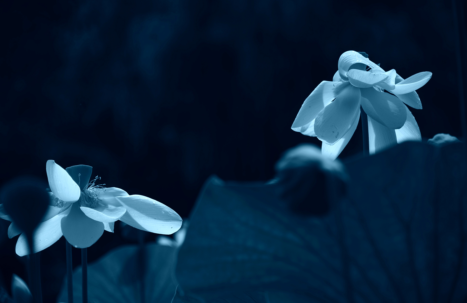 DSC_3955.JPG