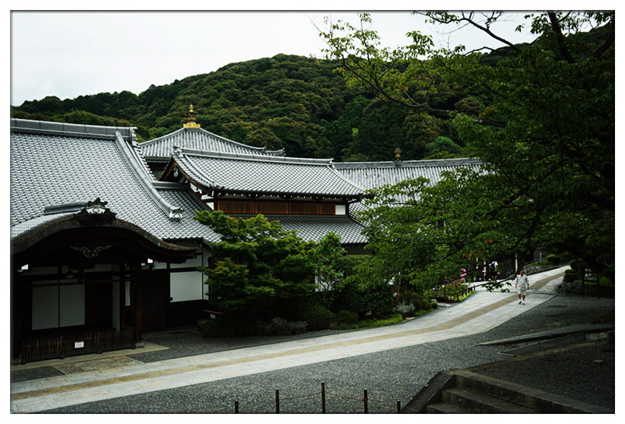 dsc00558_副本.jpg