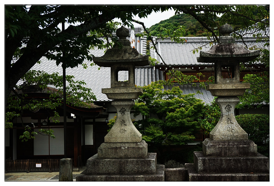 dsc00561_副本.jpg