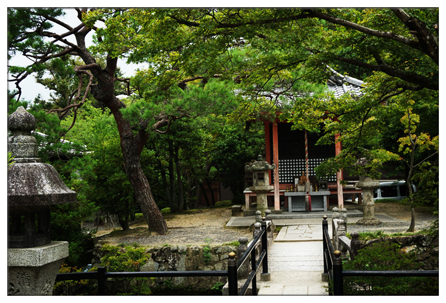 dsc00581_副本.jpg