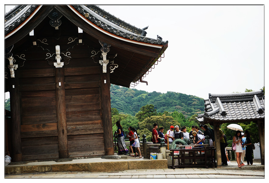 dsc00583_副本.jpg