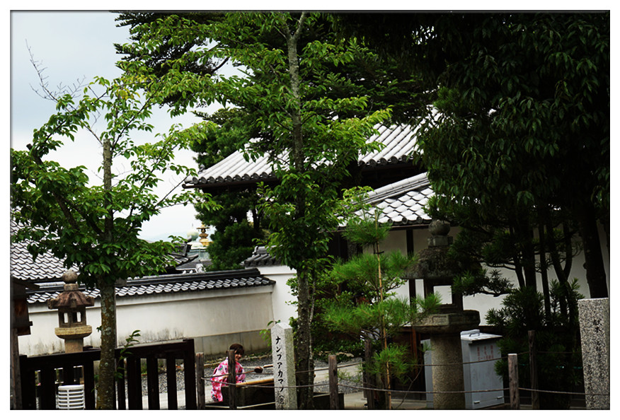 dsc00580_副本.jpg
