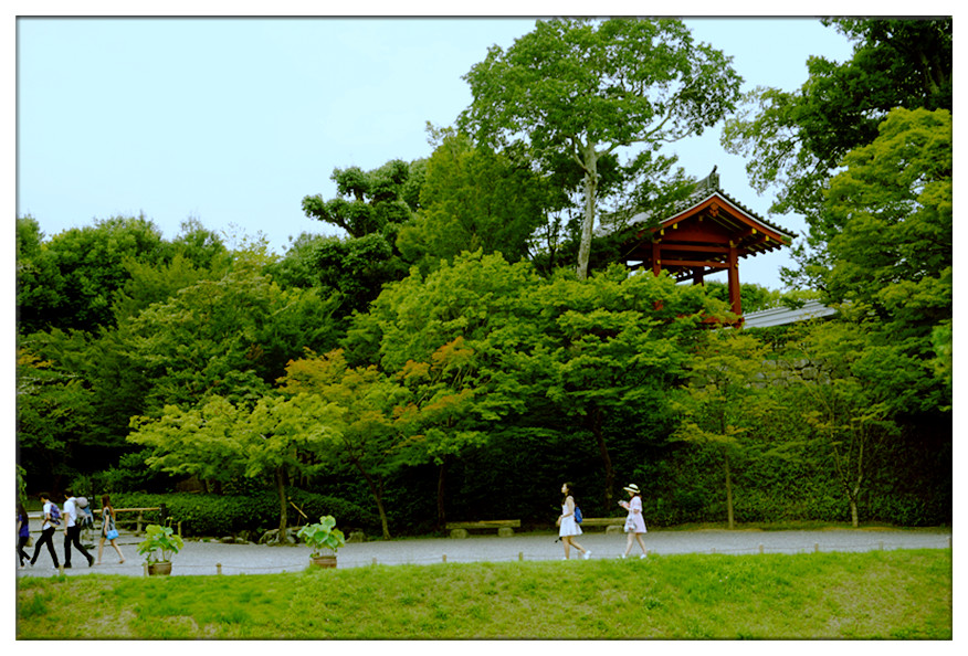 dsc00739_副本.jpg