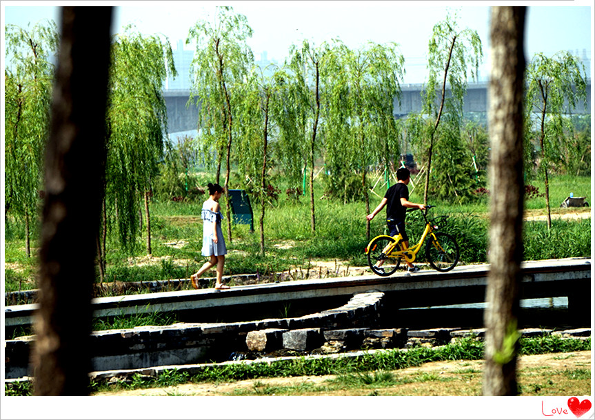 dsc02640_副本.jpg
