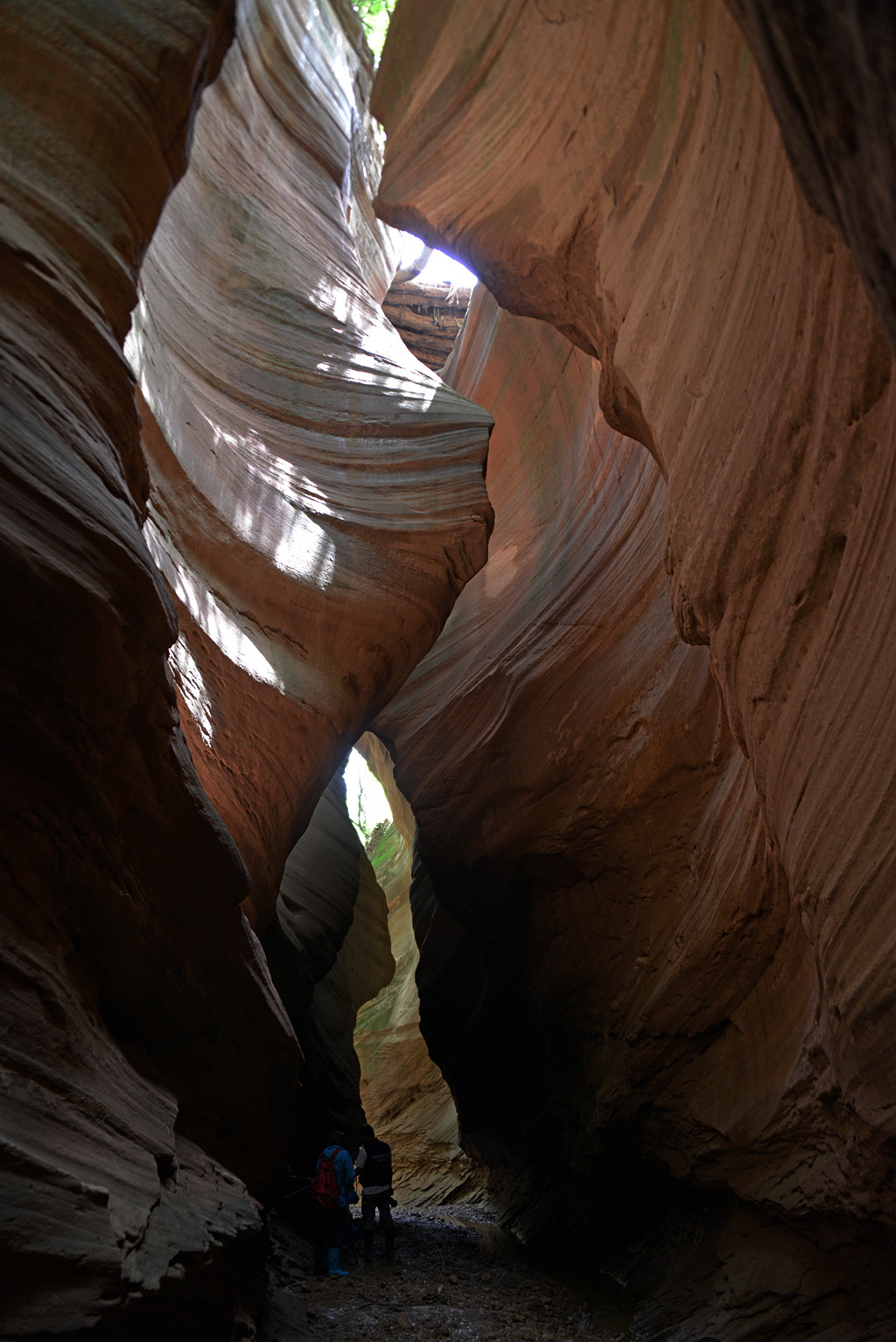DSC_8922.JPG