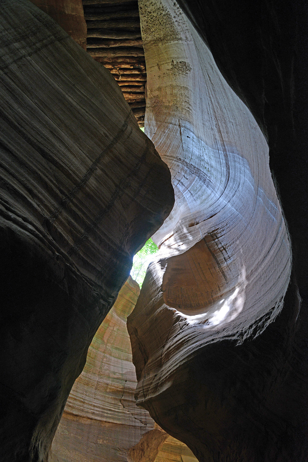 DSC_8964.JPG