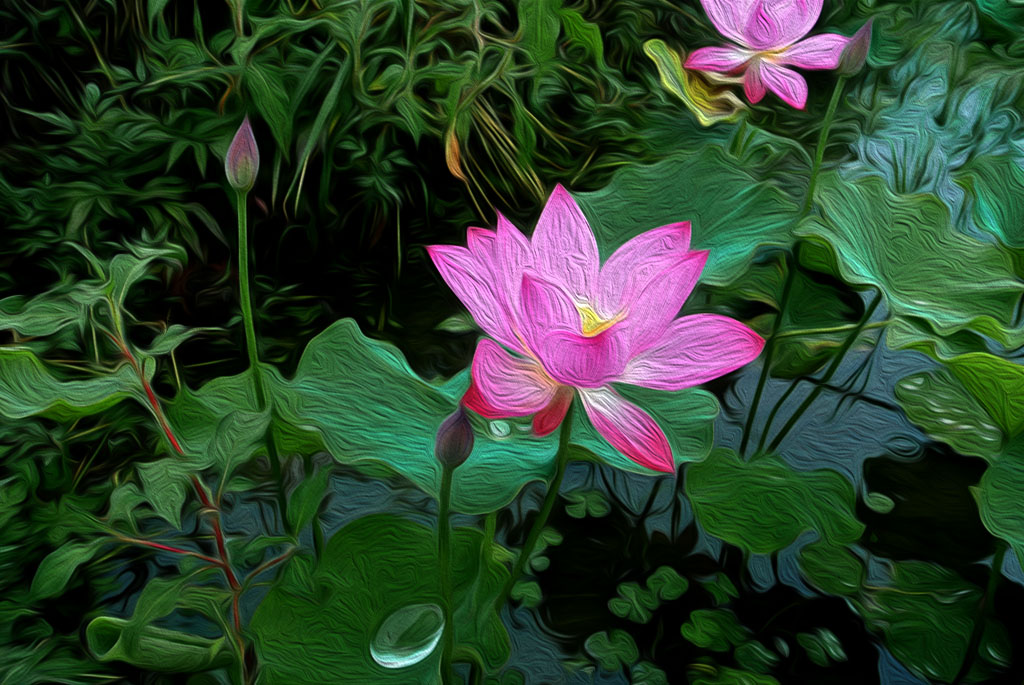 DSC_8226副本副本.jpg