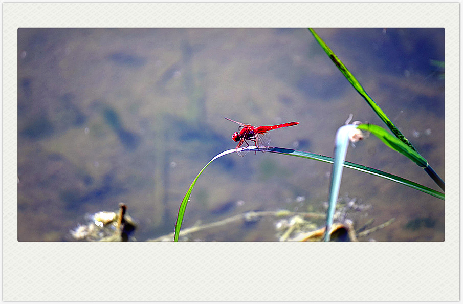 dsc02573_副本.jpg