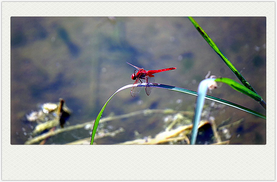 dsc02574_副本.jpg
