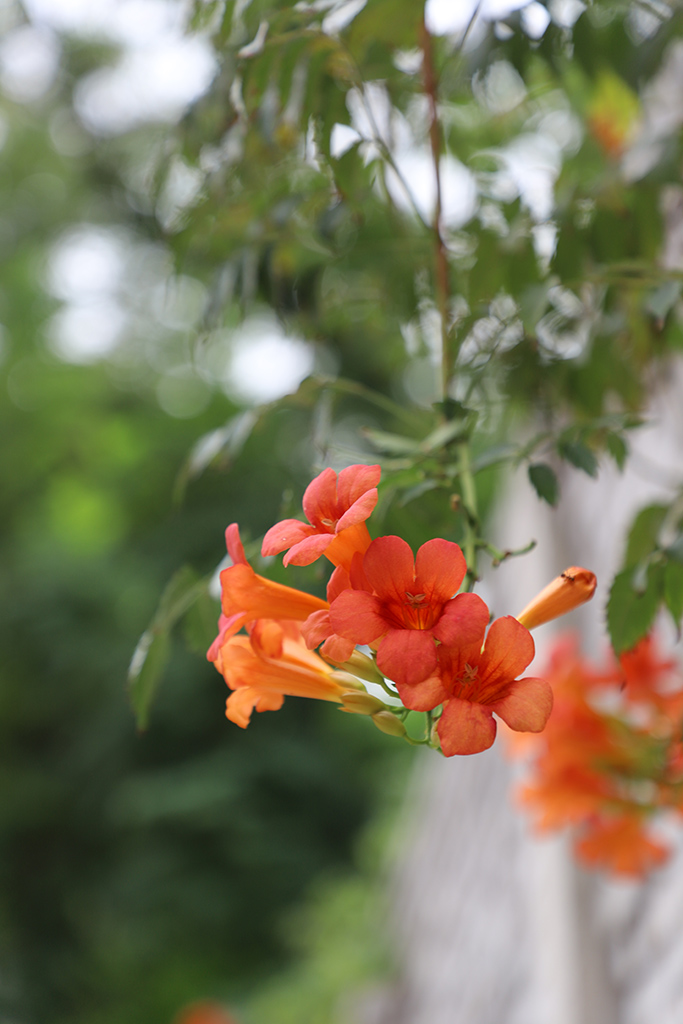 IMG_0154副本.jpg