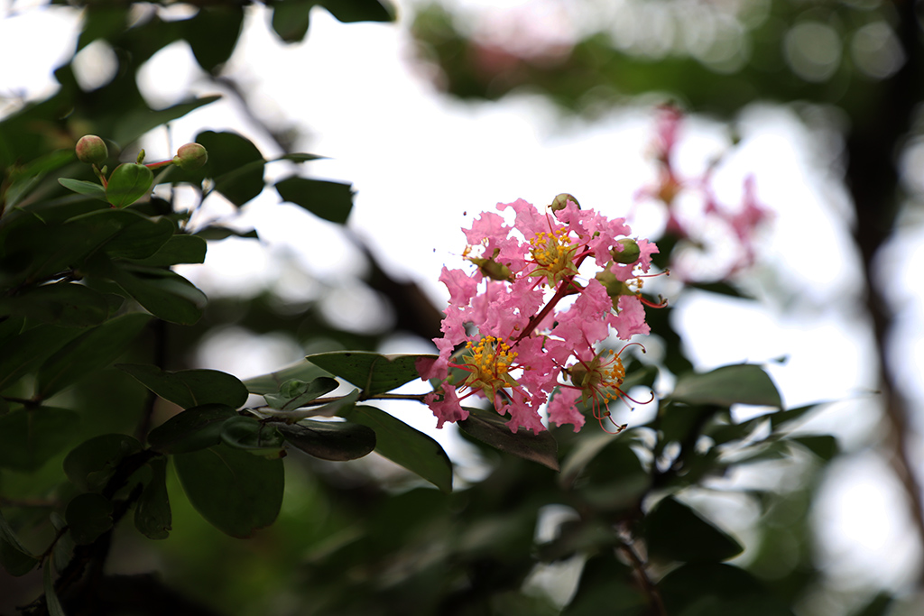 IMG_0169副本.jpg