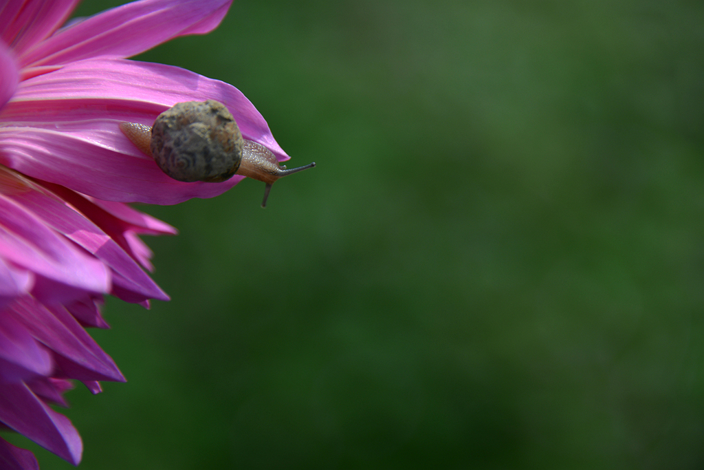 DSC_0495.JPG