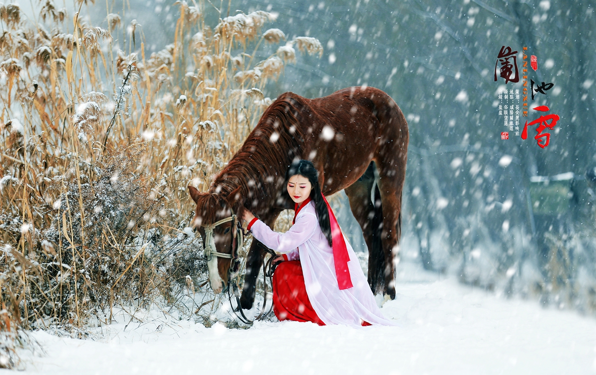 兰池雪17.jpg