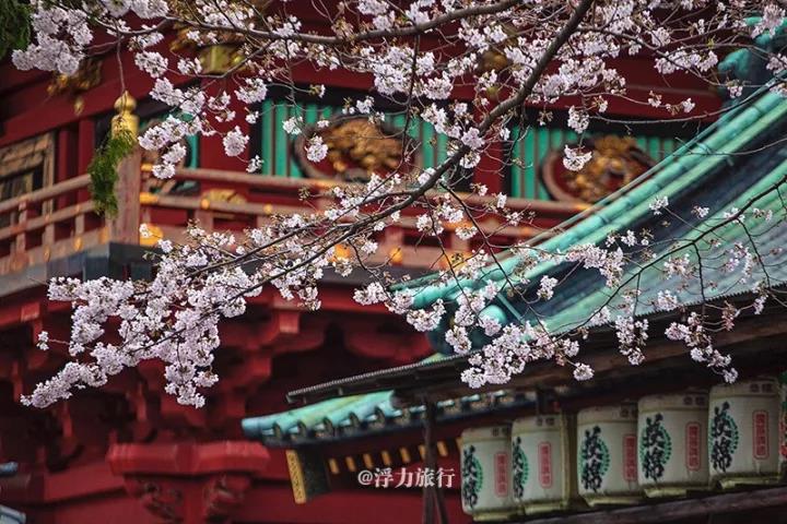 微信图片_20171219181116.jpg