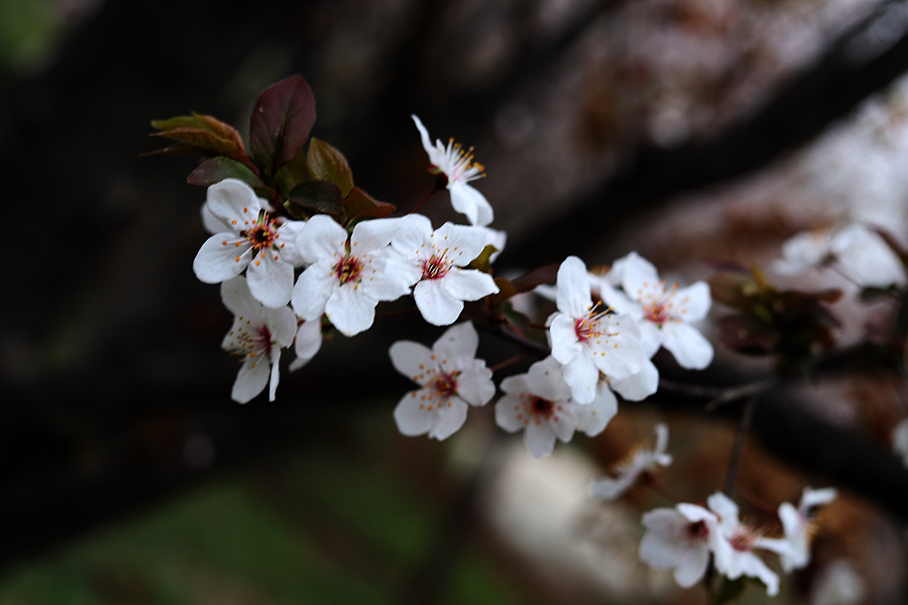 IMG_3594副本.jpg
