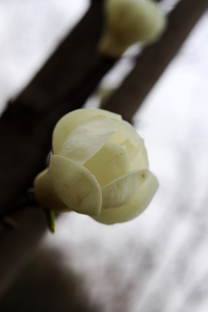 IMG_3592副本.jpg