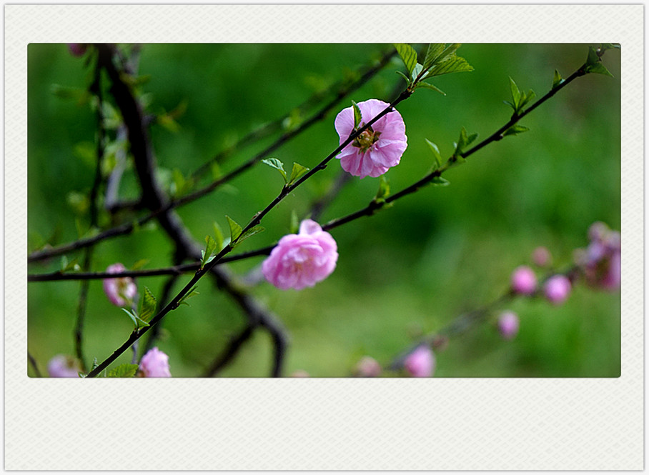 dsc03341_副本.jpg