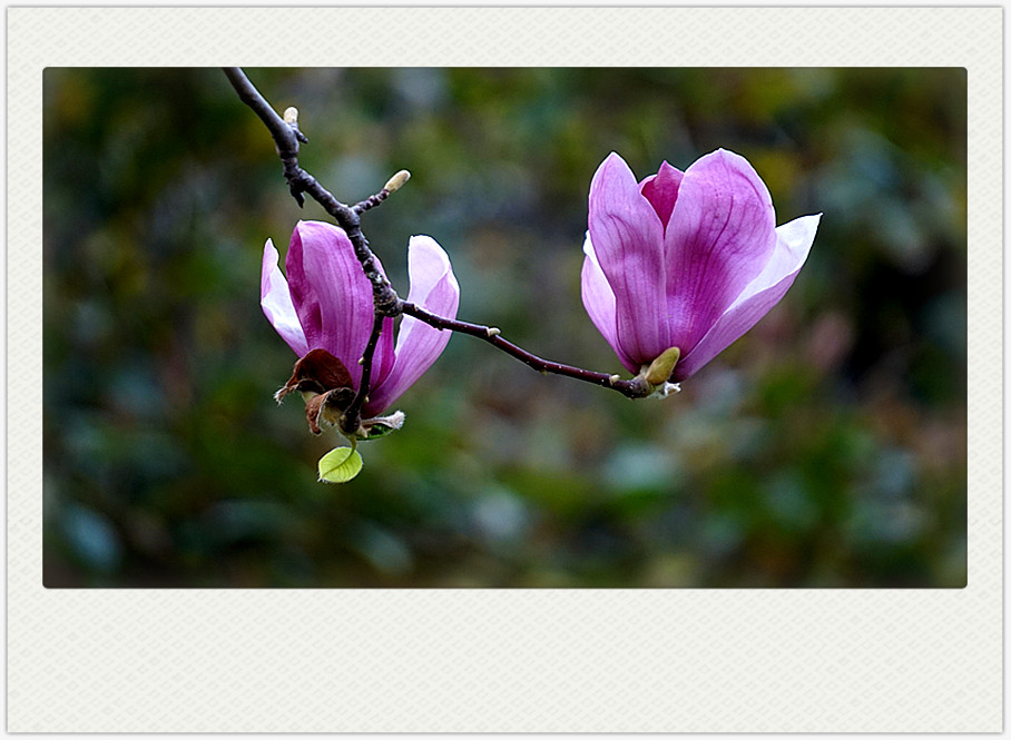 dsc03330_副本.jpg