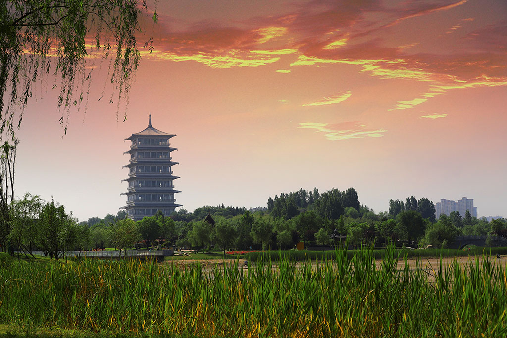 IMG_4371_ts副本.jpg