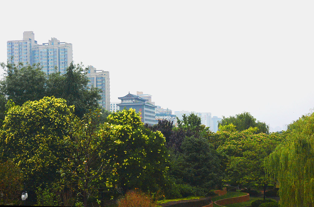 DSC_9719副本.jpg